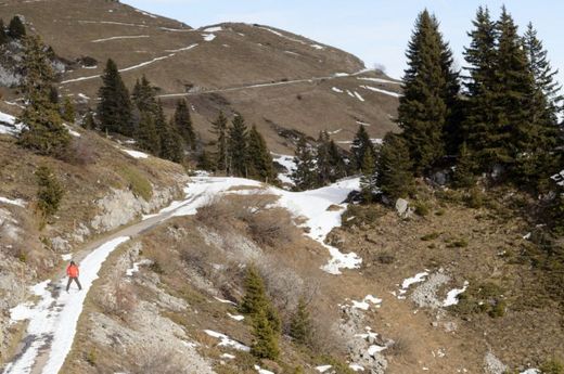 Alpská střediska letos nejsou zcela výjimečně zaplněna, může za to nedostatek sněhu.