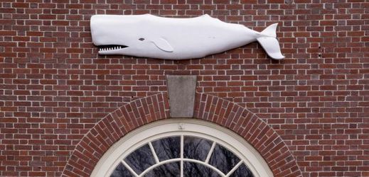 Číst se bude v muzeu velryb a půjde o již dvacáté setkání milovníků Hermana Melvilla.