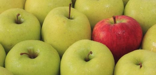 Degustace jablek se konala letos již po sedmačtyřicáté.