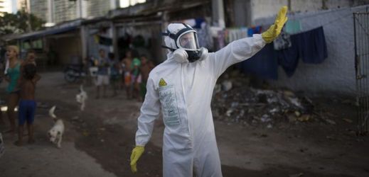 Téměř 220 tisíc členů brazilských ozbrojených sil bojuje před karnevalovými oslavami o vymýcení komárů roznášejících virus zika.