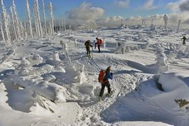 Největší množství sněhu v České republice leží na hoře Plechý, která je se 1378 metry nejvyšší horou Šumavy. Za poslední dva týdny zde nasněžilo okolo 1,5 metru sněhu.