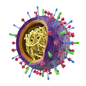 Chřipkový virus vypadá jako miniaturní námořní mina. Uvnitř je RNA, na povrchu jsou různé typy výběžků. Nejdůležitější jsou dva -- hemagglutinin a neuraminidáza.