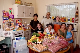 Terčem hoaxů jsou často také Romové. Zde si prý rodina na podpoře užívala bohaté Vánoce. Ve skutečnosti šlo o fotografii z Austrálie, která neměla s romským blahobytem nic společného.