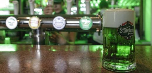 Největší várku zeleného piva chystá jako každý rok Starobrno.