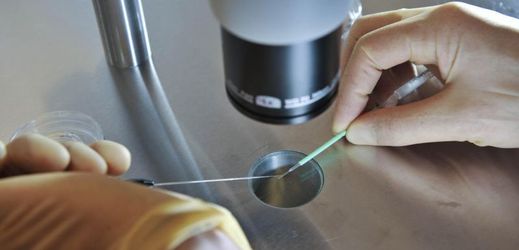 Britští vědci dostali povolení geneticky upravovat lidská embrya.