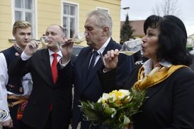 Prezident Miloš Zeman při návštěvě Střední vinařské školy ve Valticích. Na snímku druhý zleva je hejtman Jihomoravského kraje Michal Hašek, vpravo ředitelka školy Ivana Machovcová.
