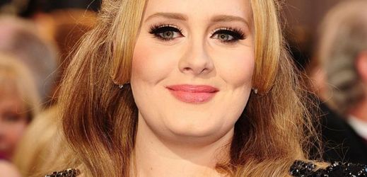 Sedmadvacetiletá britská zpěvačka Adele byla loni celosvětově nejposlouchanějším hudebníkem světa.