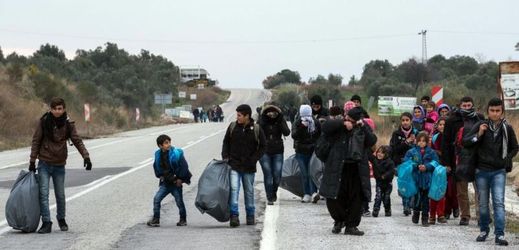 Migrace, blízko tureckého města Ayvacik.