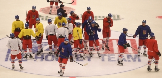 Obnovený Světový pohár hokejistů, jenž se bude hrát od 17. září do 1. října v Torontu, bude přenášet Česká televize.