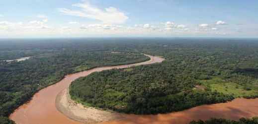 Deštný prales, Amazonie. 