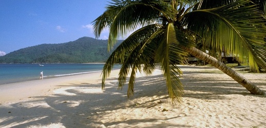 Turisté v Liberci si budou moci vyfotografovat radnici s pláží a palmou (ilustrační foto).