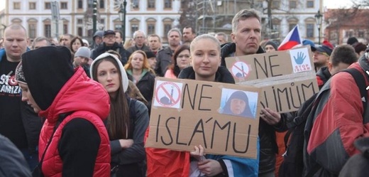 Příznivci Bloku proti islámu (ilustrační foto).