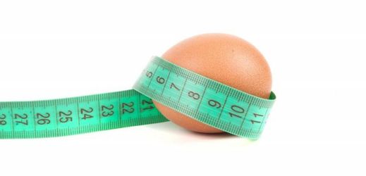 Zvýšená konzumace proteinů prý přispívá k obezitě (ilustrační foto).