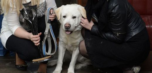 Cenu Statečné psí srdce v kategorii Pomáhající srdce získal labrador Art s majitelkou Sandrou Blažkovou (na snímku vlevo). Cenu předala spisovatelka Bára Nesvadbová.