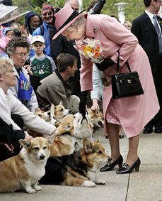 Alžběta II. již od malička milovala psy a koně.
