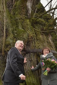 Prezident Miloš Zeman si v rámci cesty po Libereckém kraji prohlédl tisíciletou Tatobistkou lípu na Semilsku, která se stala Stromem roku 2015. Vpravo je starostka Tatobit Lenka Malá.