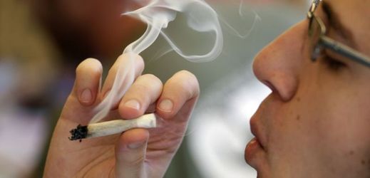 Kanada bude na jaře příštího roku legalizovat "rekreační" užívání marihuany.