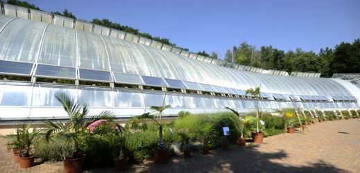 Skleník Fata Morgana vyšel botanickou zahradu na 200 milionů korun.
