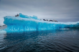 Teplá voda by mohla rozpustit i ledové útesy.