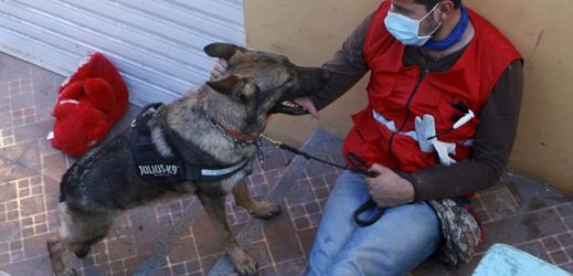 Záchranář při zemětřesení v Ekvádoru se svým psem. (Ilustrační foto)