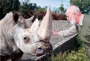 Josef Vágner u jednoho z prvních nosorožců v zoo.