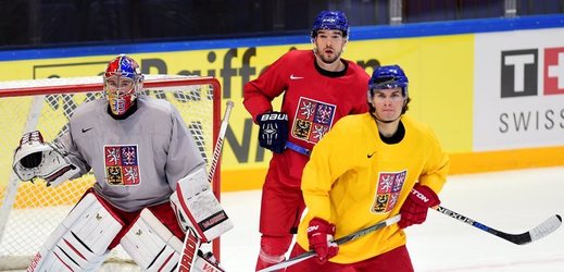 Poslední místo na soupisce české hokejové reprezentace na mistrovství světa v Rusku zaplní obránce Petr Zámorský (ve žlutém dresu).