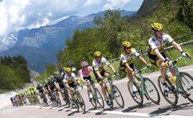 Peloton italského cyklitického závodu Giro d'Italia