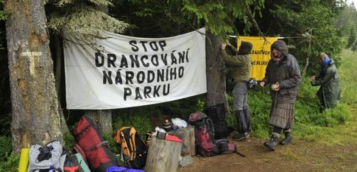 Blokáda lesa, proti které zasahovala policie v roce 2011.
