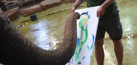 Slonice malují se speciálně upraveným štětcem.