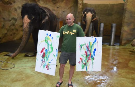 Obrazy od ústeckých slonic lze koupit v prodejně suvenýrů zoo.