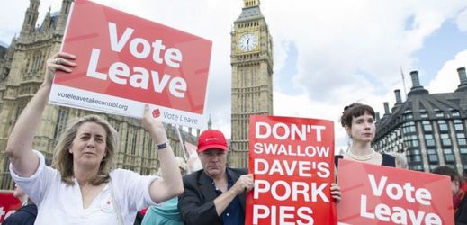 Příznivci brexitu na setkání v Londýně 15. června.
