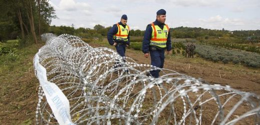 Plot mezi Maďarskem a Srbskem denně ilegálně překoná asi 200 lidí.
