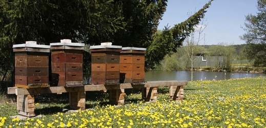 Včelí úly.