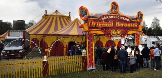 Tradiční cirkusy se potýkají se stále většími problémy. Ať už je to malý divácký zájem, tak konkurenční boj či protesty ochránců zvířat (ilustrační foto).