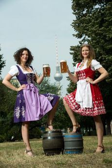 Pivo z Česka na festivalu představí 25 pivovarů.