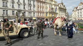 Velbloud, na kterém přijel na Staroměstské náměstí Konvička.