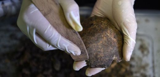 Na obřím pohřebišti vědci našli mince z 11. a 12. století a na 200 takzvaných záušnic.