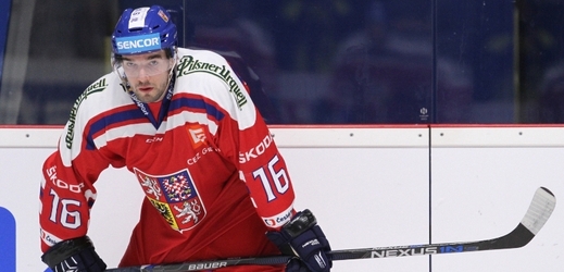 Hokejový reprezentační útočník Michal Birner.
