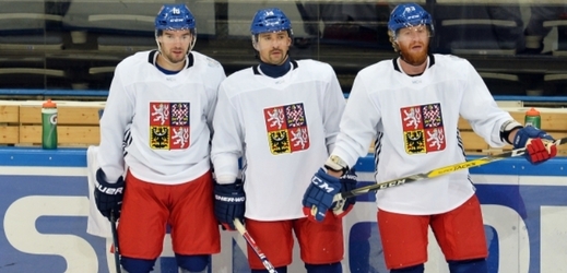 Čeští hokejisté na tréninku.