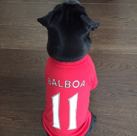 Velký fanoušek Arsenalu Balboa.