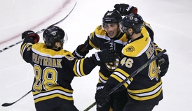 Takhle se Pastrňák a Krejčí radovali z gólů za Bruins v loňské sezoně.