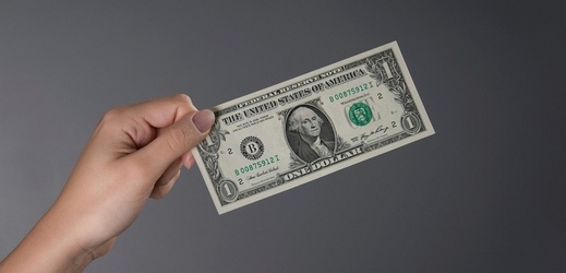 Dolar (ilustrační foto). 