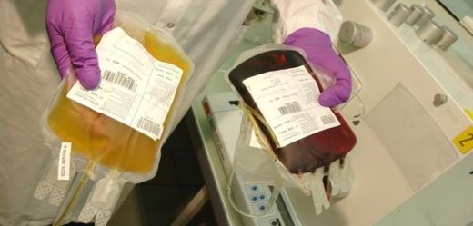 Firma Diag Human se s Českem soudí kvůli zmařenému obchodu s krevní plazmou. 