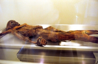 Mumie muže Ötziho, který byla nalezena v roce 1991.