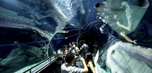 Obří akvárium AquaRio otevřou v Riu de Janeiru. 