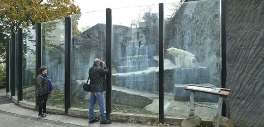 Současný pavilon ledních medvědů je starý minimálně 80 let.