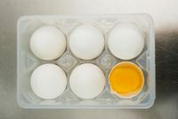 Stát stahuje z trhu přibližně 3, 5 milionu vajec z Polska kvůli salmonelóze.