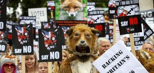Snímek z londýnské demonstrace za záchranu lišek. 