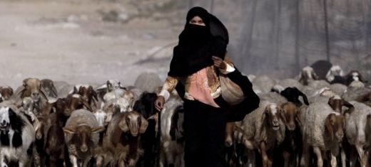 Dříve se beduínská aktivistka starala o ovce. 