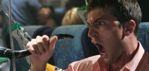 Snímek z amerického filmu Hadi v letadle (2006).